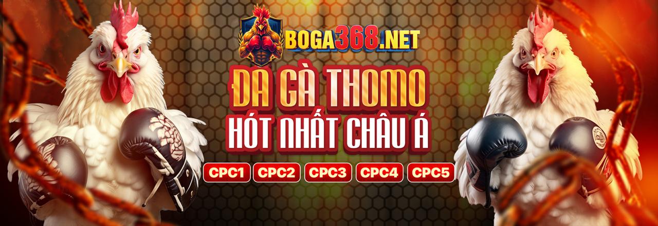 Đá gà cựa sắt